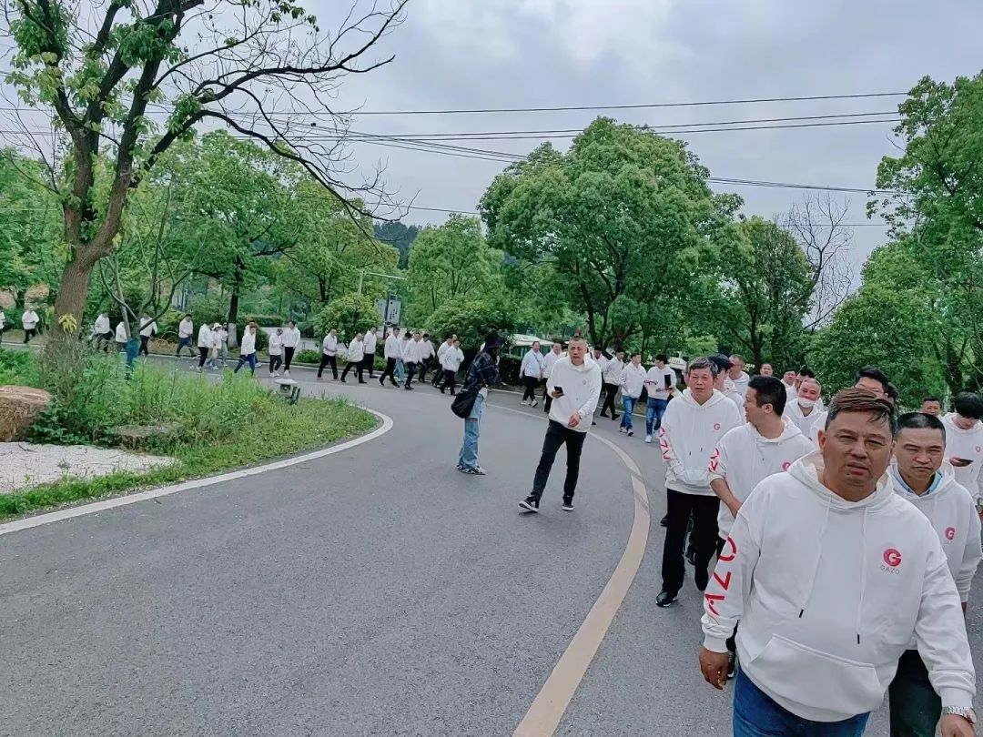 極家家居集團